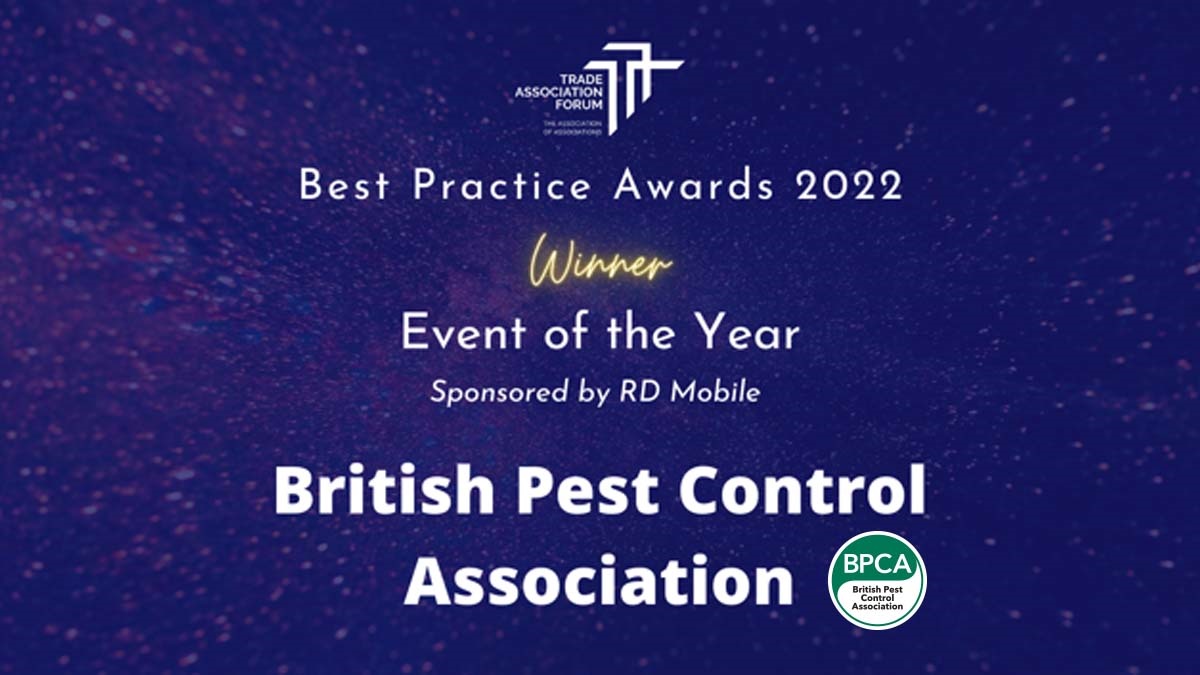 pestextrawinstafaward pestextrawinstafaward